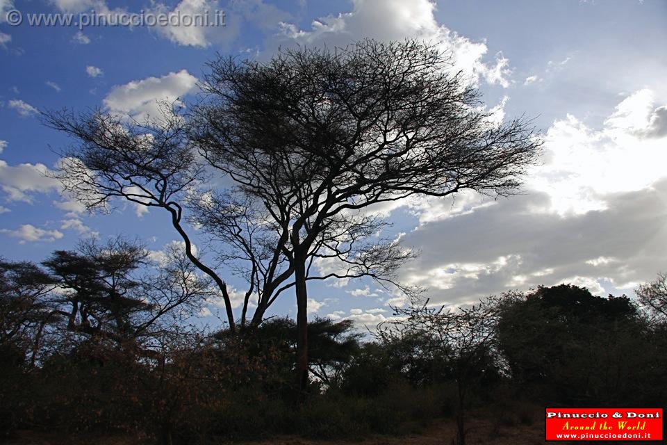 Ethiopia - 811.jpg